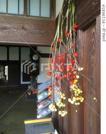 高麗の里、高麗郷古民家の玄関脇にかかる花茄子と土間の柱の振り子時計 95196859