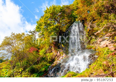 乙女滝（秋） 95197253