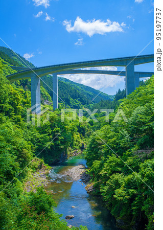 奥秩父もみじ湖 滝沢ダム ダム下の風景 ループ橋方向 初夏の季節 奥秩父もみじ湖 滝沢ダム ダム下の風景 ループ橋方向 初夏の季節 95197737