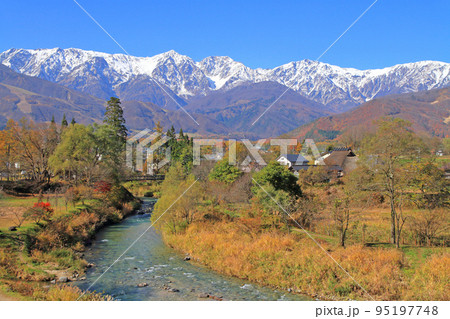 白馬 大出公園の秋 白馬 大出公園の秋 95197748