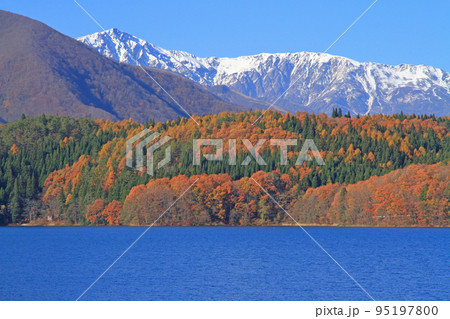 晩秋の青木湖と白馬岳 95197800