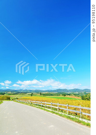 北海道　秋の青空と美瑛の風景 95198110