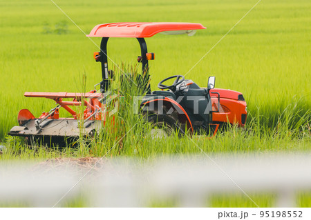 Agriculture Agriculture 95198552