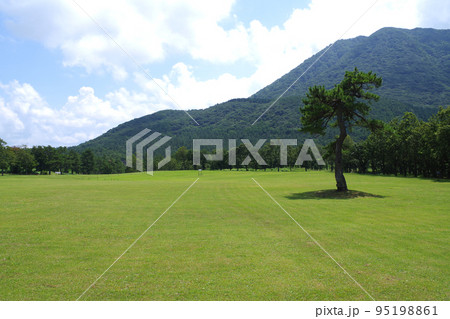 三瓶山芝生広場の景色 三瓶山芝生広場の景色 95198861