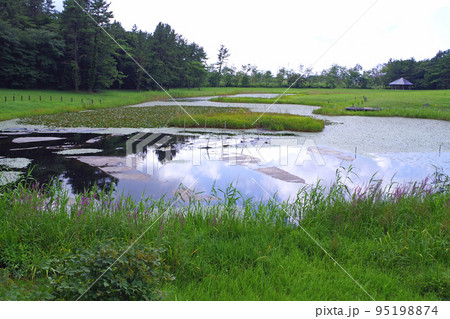 三瓶山山麓姫逃池の景色 95198874