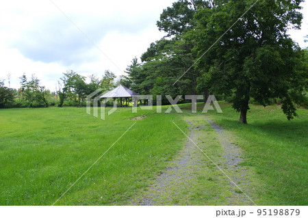 三瓶山山麓姫逃池の広場の景色 三瓶山山麓姫逃池の広場の景色 95198879