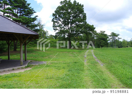 三瓶山山麓姫逃池の広場の景色 95198881