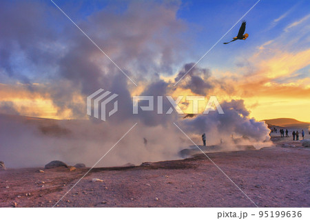 アルティプラーノ平原の絶景 アルティプラーノ平原の絶景 95199636