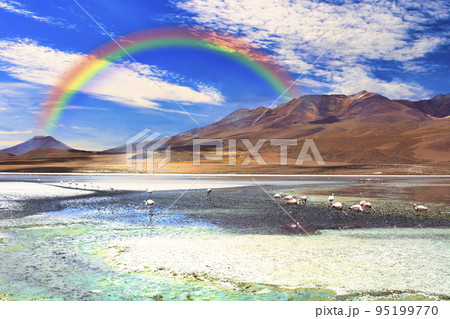 アルティプラーノ平原の絶景 95199770