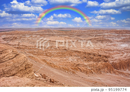 アルティプラーノ平原の絶景 95199774