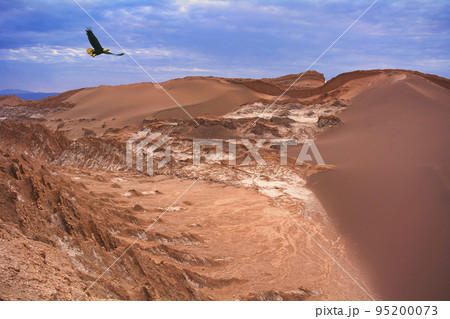 アルティプラーノ平原の絶景 95200073