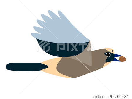 ドングリをくわえて飛ぶ鳥 ドングリをくわえて飛ぶ鳥 95200484
