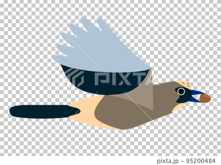 ドングリをくわえて飛ぶ鳥 ドングリをくわえて飛ぶ鳥 95200484