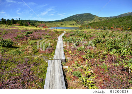 福島県　秋の浄土平　鎌沼ハイキング 95200833