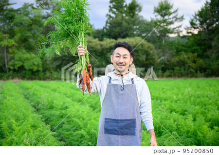 朝どれ野菜の農業イメージ　カメラ目線 95200850