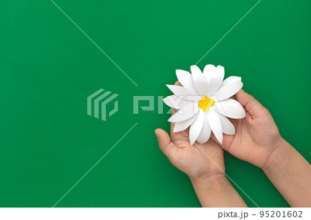 Camomile paper craft in child hands on green background Camomile paper craft in child hands on green background 95201602