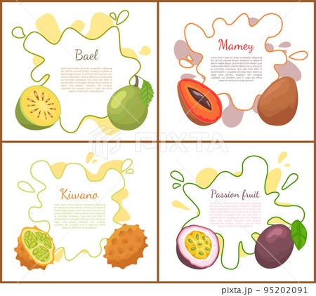 Bael and Mango Posters Set Vector Illustration 95202091