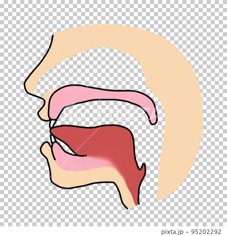 英語発音学習「th」の発音 95202292