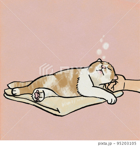 耳の後ろを掻いてもらってご満悦の猫 95203105