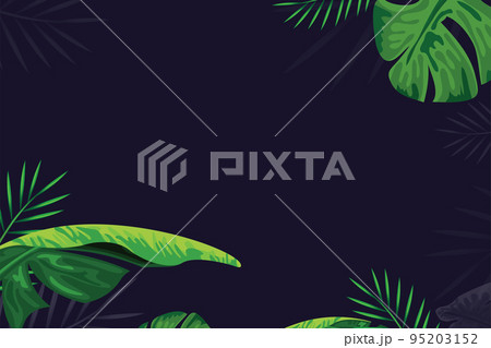 Tropical foliage with exotic jungle plants on dark blue background. Minimal background. 95203152