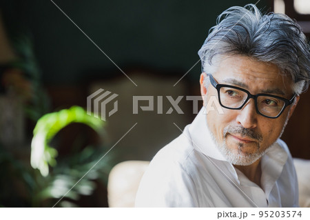 ダンディーなグレイヘアの男性 95203574