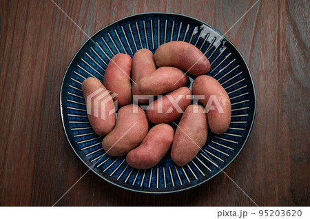 ジャガイモのノーザンルビー 95203620