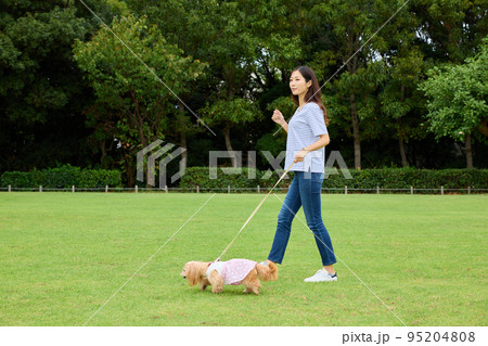 犬と公園で遊ぶ女性 95204808