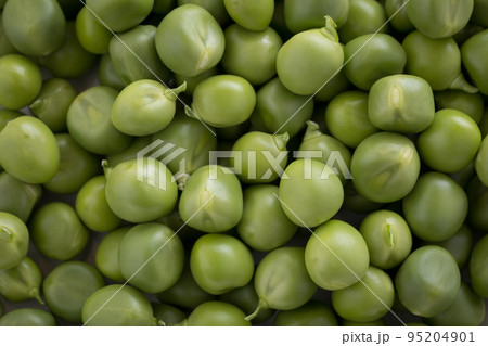 緑が綺麗な新鮮グリーンピース 95204901