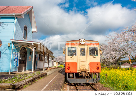 いすみ鉄道 総元駅 菜の花と桜のコラボレーション キハ20 いすみ鉄道 総元駅 菜の花と桜のコラボレーション キハ20 95206832
