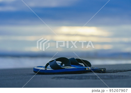 夏の浜辺の景色 95207907