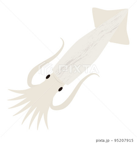 いかのイラスト 95207915