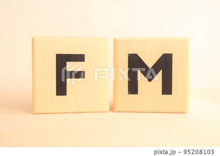 FMの木製のアルファベットブロック FMの木製のアルファベットブロック 95208103