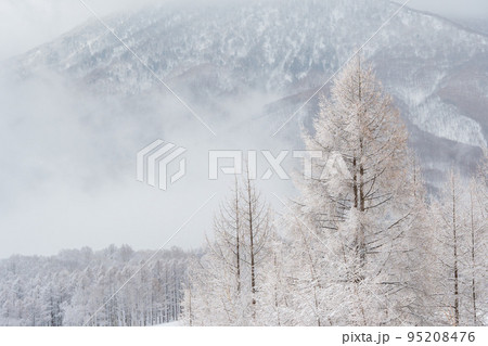 雪が舞う天気が幻想的な雰囲気のスキー場 雪が舞う天気が幻想的な雰囲気のスキー場 95208476