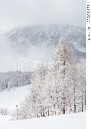 雪が舞う天気が幻想的な雰囲気のスキー場 95208478