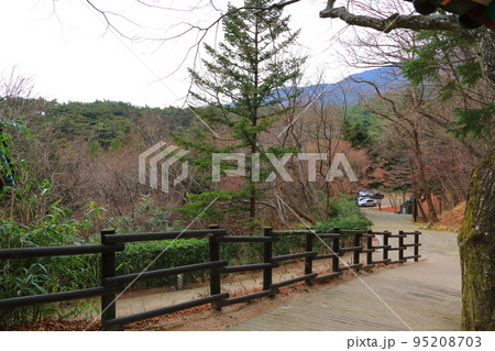 レース 仏国寺 仏教 95208703