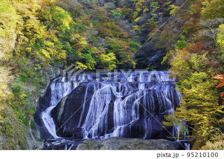 茨城県　日本三大名瀑　袋田の滝　紅葉 95210100