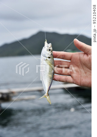 アジのサビキ釣り アジのサビキ釣り 95210408
