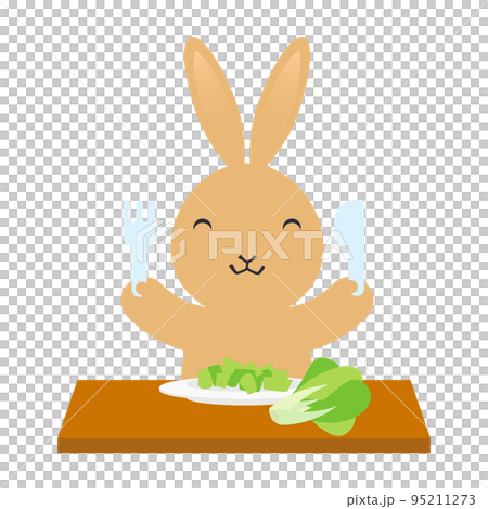 一隻兔子吃蔬菜的插圖 95211273