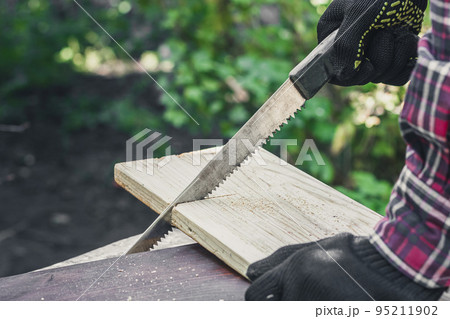 Cutting a wooden board. Hand saw work. Carpentry work. 95211902