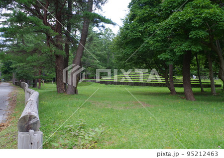 三瓶青少年交流の家の樹林の景色 95212463