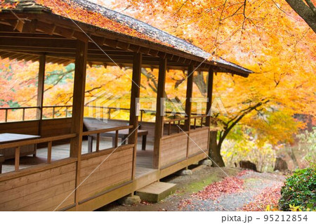 伊豆　虹の里ぼ紅葉 95212854