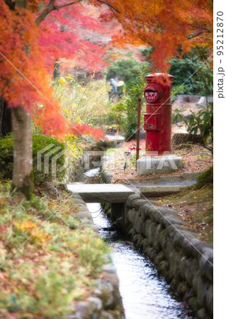 伊豆　虹の里ぼ紅葉 95212870