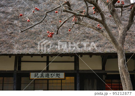 伊豆　虹の里ぼ紅葉 95212877