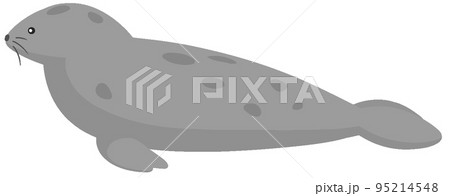 ハイイロアザラシ 95214548