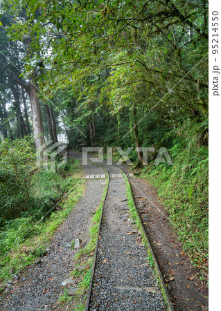 太平山 台湾 トレイル 95214550