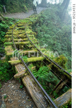 太平山 台湾 トレイル 95214551