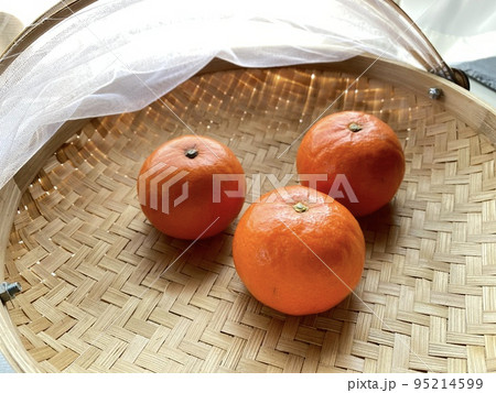 オレンジ　フードストッカー 95214599