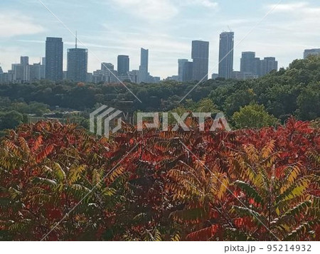 ブリックワークスから見たトロント、カナダ DT Toronto from Brickworks  95214932