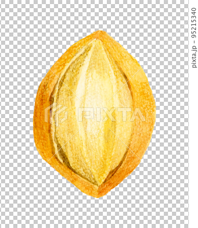 Kuppe 麵包手繪水彩插圖素材 95215340