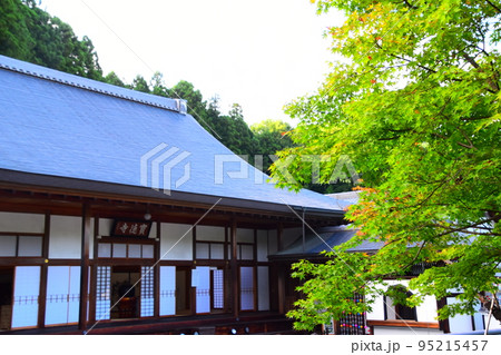 宝徳寺と緑の紅葉 宝徳寺と緑の紅葉 95215457
